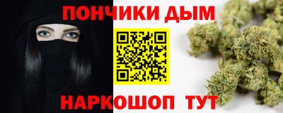 гашик Гатчина